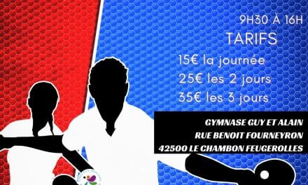 Stage de février du Comité