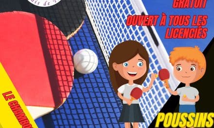 Stage Détection Comité – Poussin(es) et Benjamin(es)