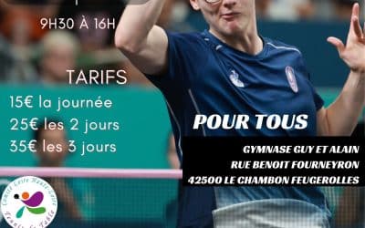 Stage de tennis de table