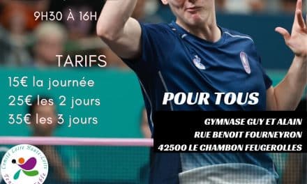 Stage d&rsquo;Avril du Comité