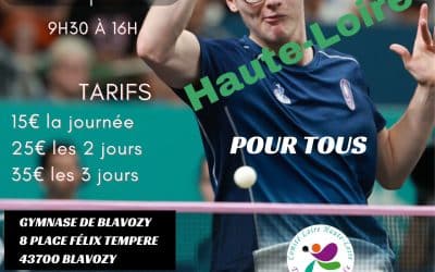 Stage de tennis de table à Blavozy (43)