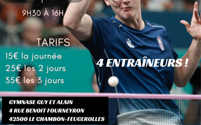 Stage – TOUT PUBLIC – tennis de table – Février 2026 – 4 entraîneurs
