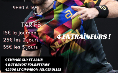 Stage du Comité – Avril 2026 – ouvert à tous
