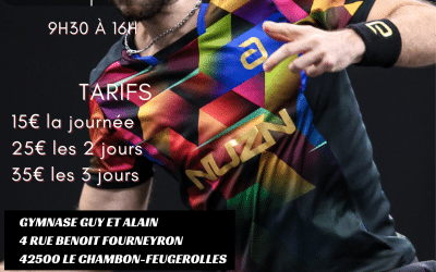 Stage de reprise du Comité – Août 2026 – tennis de table