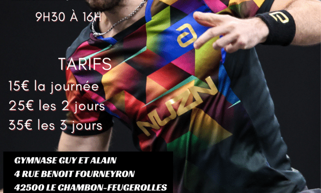 Stage de reprise du Comité – Août 2026 – tennis de table