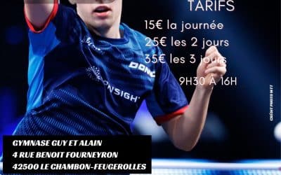 Stage de tennis de table – Octobre 2026