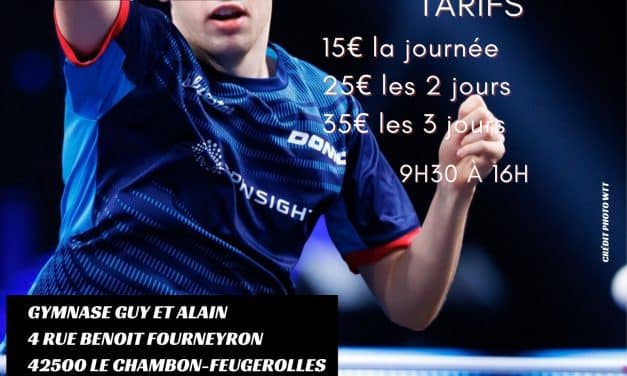 Stage de tennis de table – Octobre 2026
